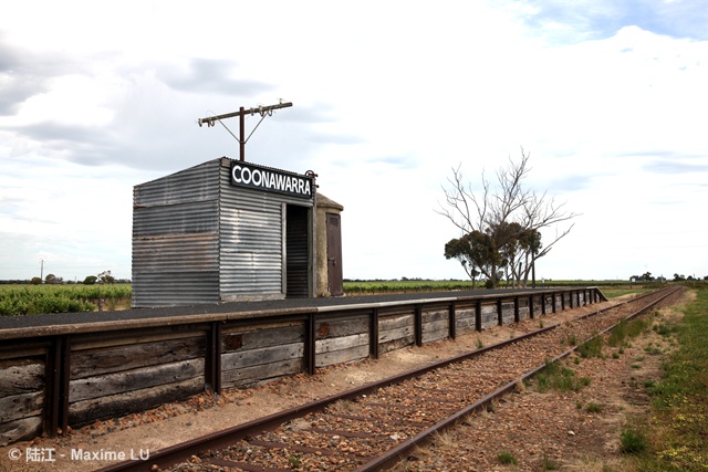 最新澳大利亚葡萄酒报告:中国市场猛增56%,白